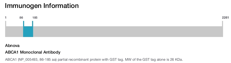 ABCA1 Monoclonal Antibody