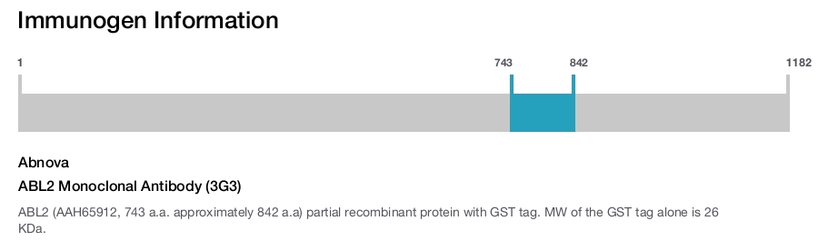 ABL2 Monoclonal Antibody (3G3)