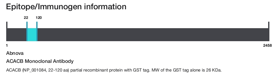 ACACB Monoclonal Antibody