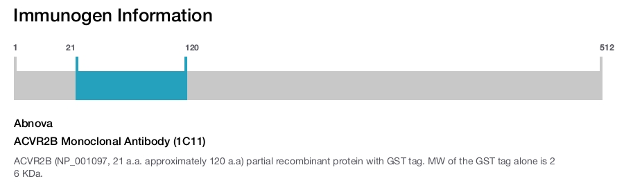 ACVR2B Monoclonal Antibody (1C11)