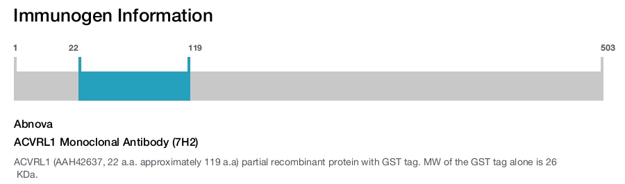 ACVRL1 Monoclonal Antibody (7H2)