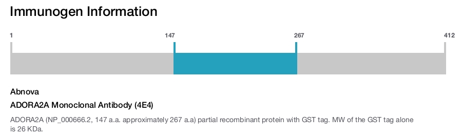 ADORA2A Monoclonal Antibody (4E4)