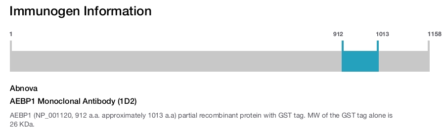 AEBP1 Monoclonal Antibody (1D2)