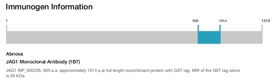 JAG1 Monoclonal Antibody (1B7)