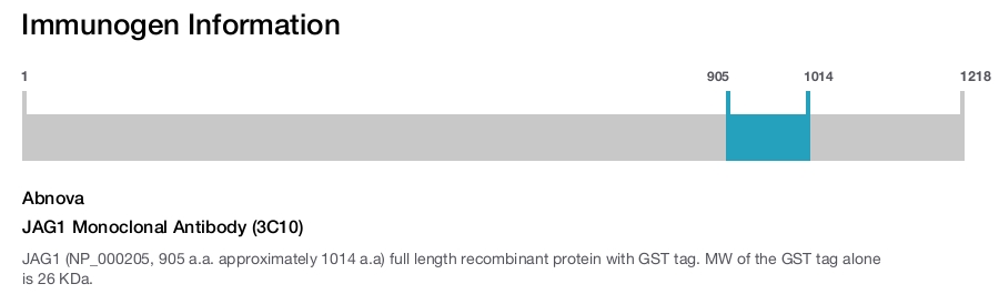 JAG1 Monoclonal Antibody (3C10)