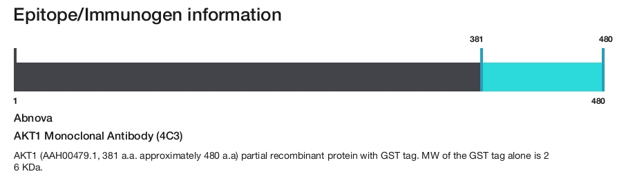 AKT1 Monoclonal Antibody (4C3)