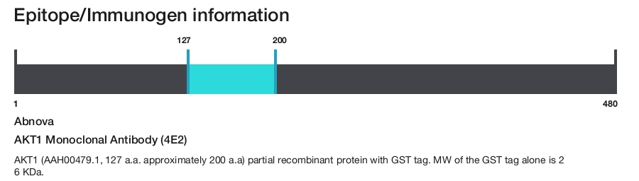 AKT1 Monoclonal Antibody (4E2)