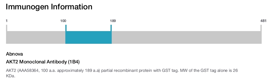 AKT2 Monoclonal Antibody (1B4)