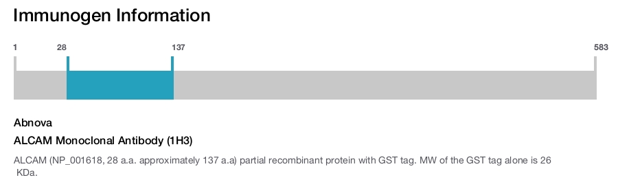 ALCAM Monoclonal Antibody (1H3)