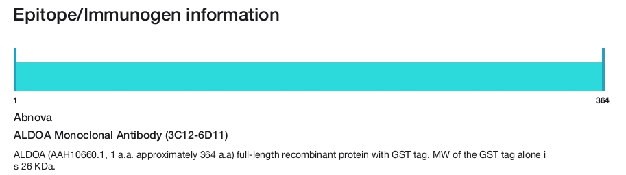 ALDOA Monoclonal Antibody (3C12-6D11)