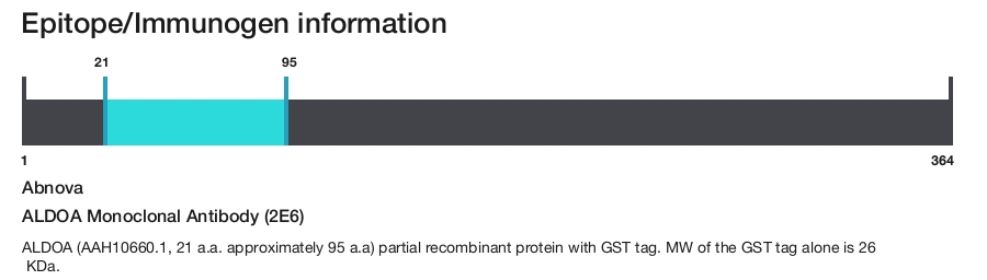 ALDOA Monoclonal Antibody (2E6)