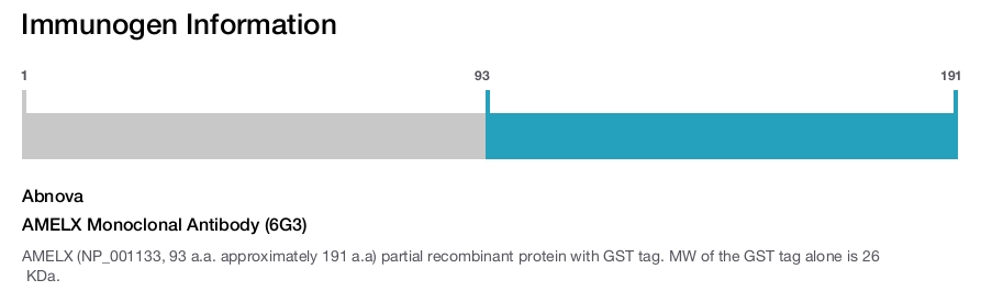 AMELX Monoclonal Antibody (6G3)