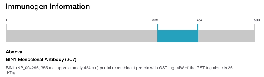 BIN1 Monoclonal Antibody (2C7)