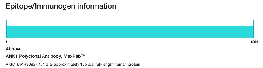 ANK1 Polyclonal Antibody, MaxPab&trade;