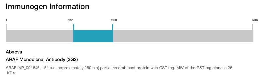ARAF Monoclonal Antibody (3G2)