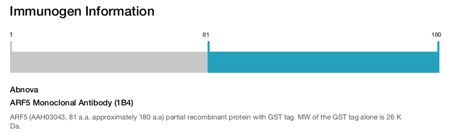 ARF5 Monoclonal Antibody (1B4)
