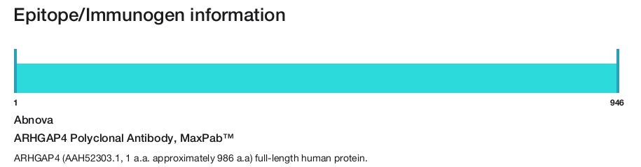 ARHGAP4 Polyclonal Antibody, MaxPab&trade;