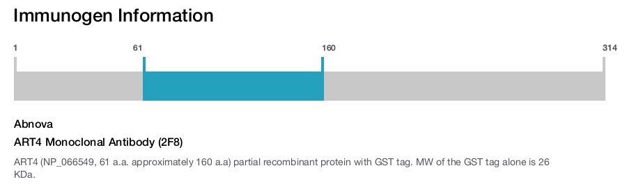 ART4 Monoclonal Antibody (2F8)