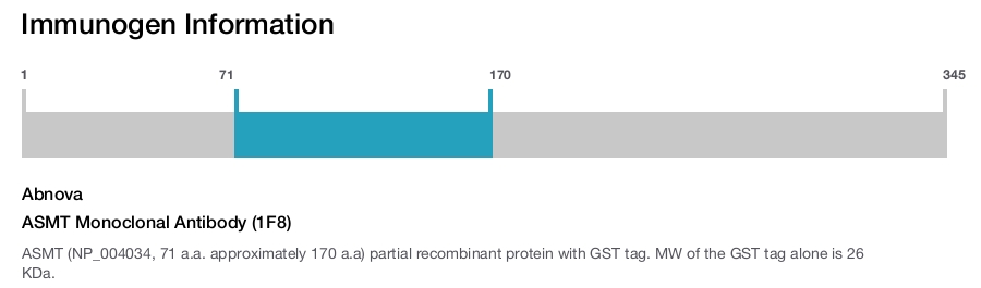ASMT Monoclonal Antibody (1F8)