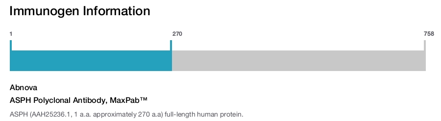 ASPH Polyclonal Antibody, MaxPab™