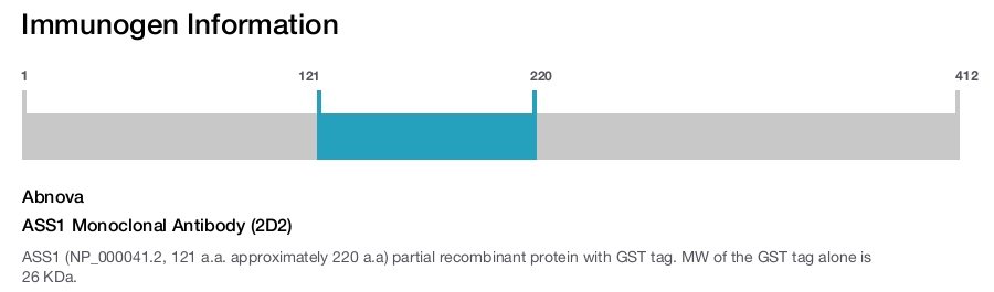 ASS1 Monoclonal Antibody (2D2)