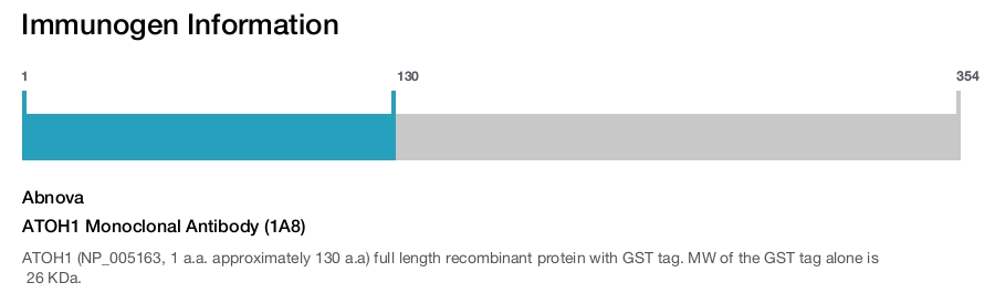 ATOH1 Monoclonal Antibody (1A8)