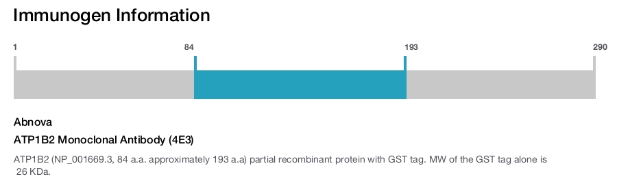 ATP1B2 Monoclonal Antibody (4E3)