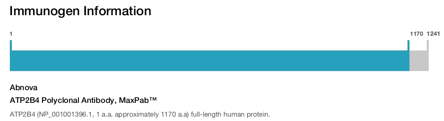 ATP2B4 Polyclonal Antibody, MaxPab™