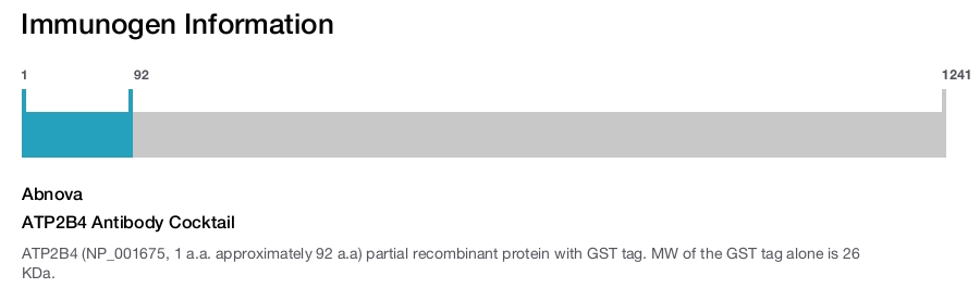 ATP2B4 Antibody Cocktail