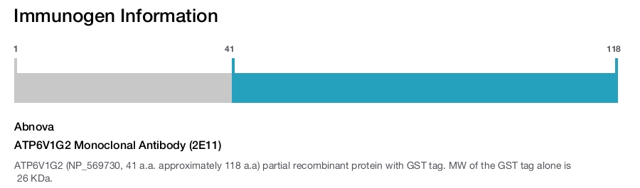 ATP6V1G2 Monoclonal Antibody (2E11)