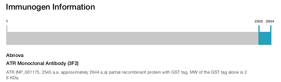ATR Monoclonal Antibody (3F2)