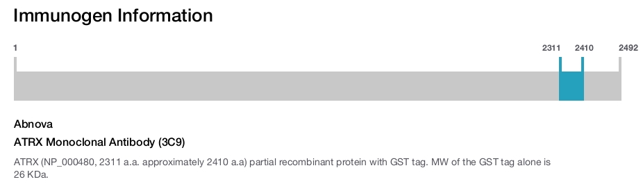 ATRX Monoclonal Antibody (3C9)