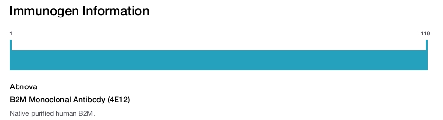 B2M Monoclonal Antibody (4E12)