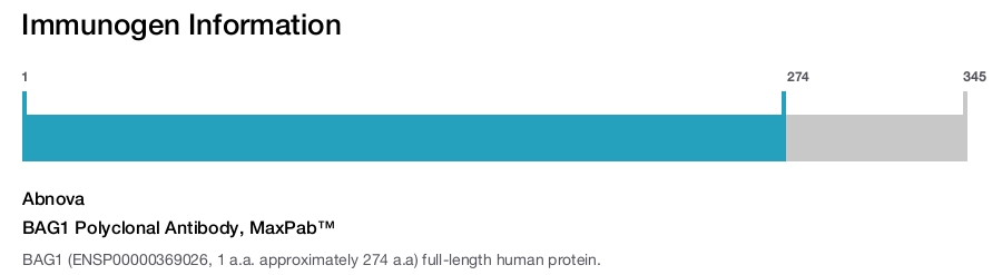 BAG1 Polyclonal Antibody, MaxPab™