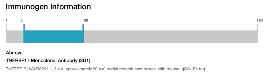 TNFRSF17 Monoclonal Antibody (3D1)