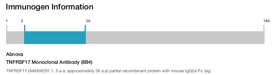 TNFRSF17 Monoclonal Antibody (8B4)