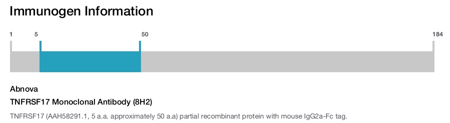 TNFRSF17 Monoclonal Antibody (8H2)