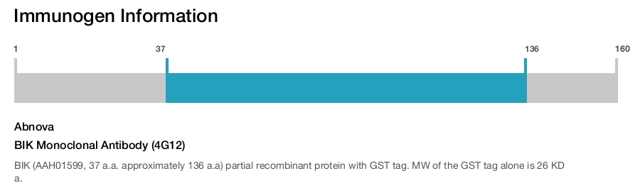 BIK Monoclonal Antibody (4G12)