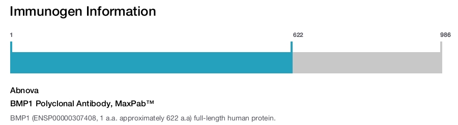 BMP1 Polyclonal Antibody, MaxPab™