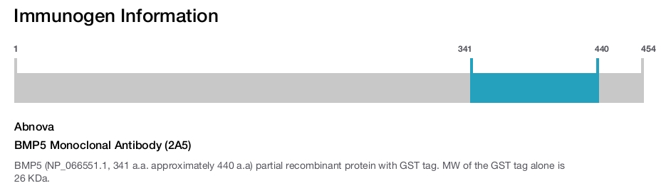 BMP5 Monoclonal Antibody (2A5)