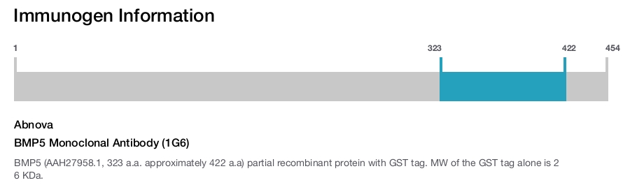 BMP5 Monoclonal Antibody (1G6)