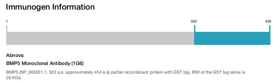 BMP5 Monoclonal Antibody (1G6)