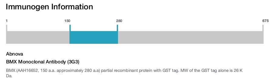 BMX Monoclonal Antibody (3G3)