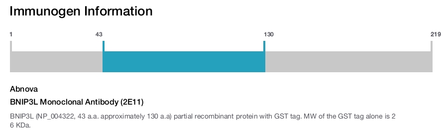 BNIP3L Monoclonal Antibody (2E11)