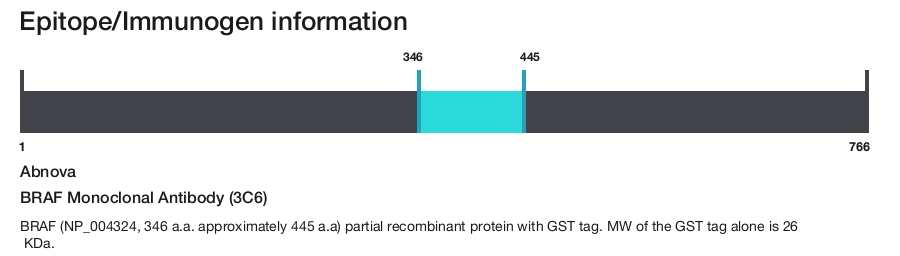 BRAF Monoclonal Antibody (3C6)