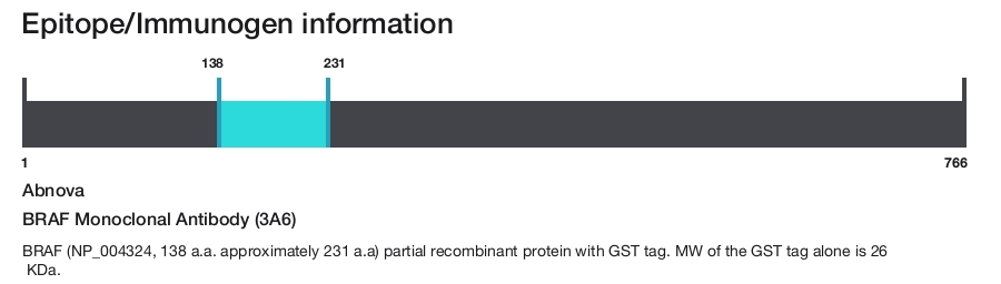 BRAF Monoclonal Antibody (3A6)