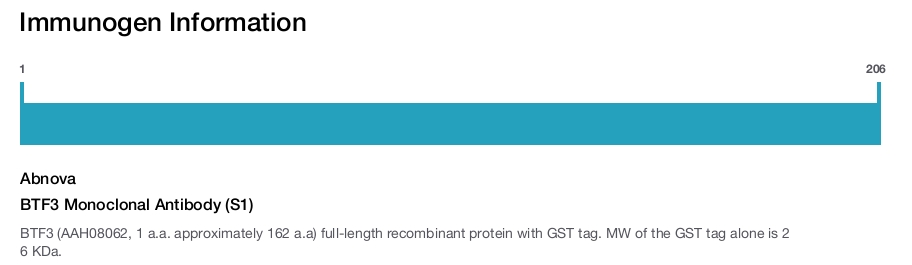 BTF3 Monoclonal Antibody (S1)