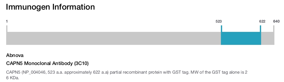 CAPN5 Monoclonal Antibody (3C10)