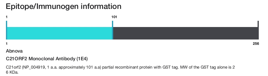 C21ORF2 Monoclonal Antibody (1E4)