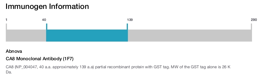 CA8 Monoclonal Antibody (1F7)